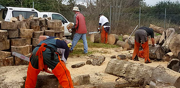 Tokoroa City Lions pensioner firewood charity