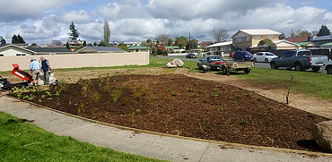 Tokoroa City Lions Centennial Project garden