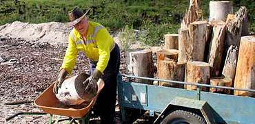 Tokoroa City Lions forest firewood for public